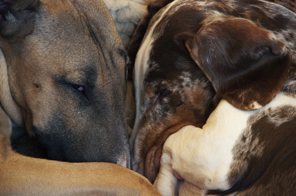 Husband and wife small