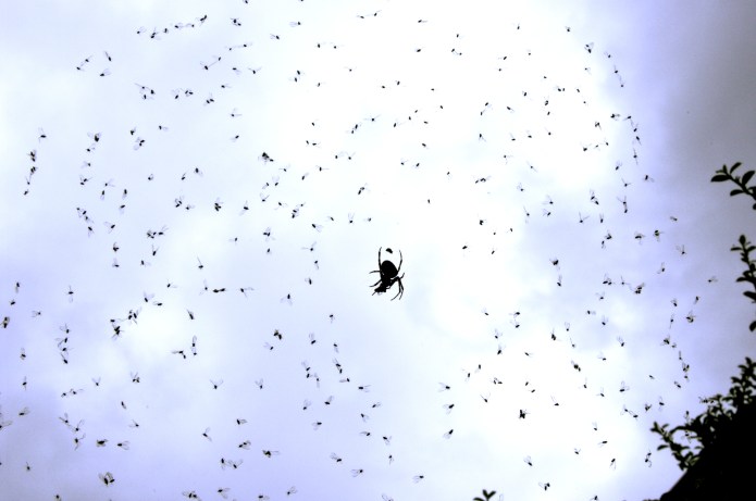 Location, location, location