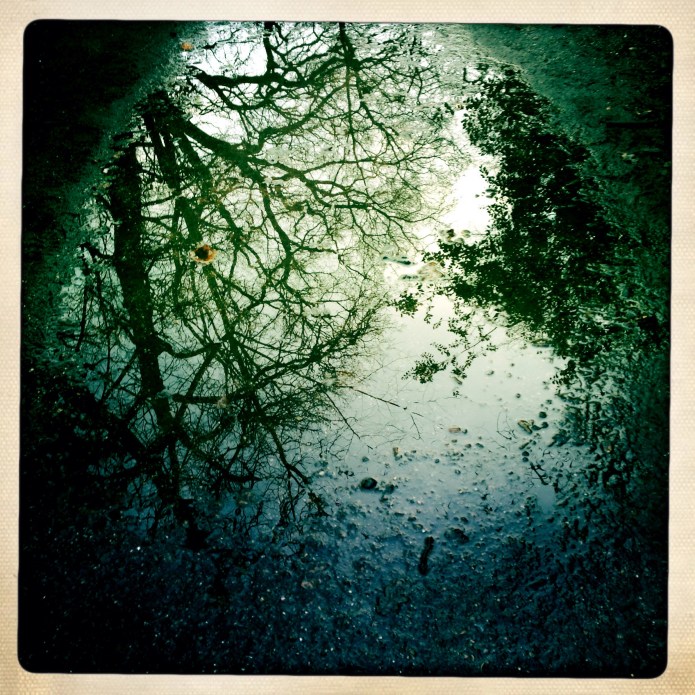 The Rain Painted me a Picture