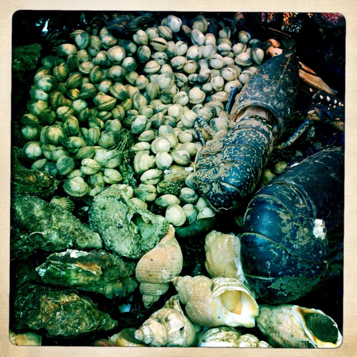 To market, to market, to buy a... lobster