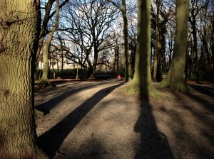 Not afraid for the big bad wolf