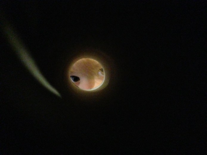 Cannot hide for a Toddler