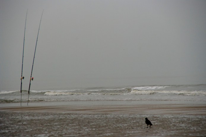 DIY Fish Fingers with competition