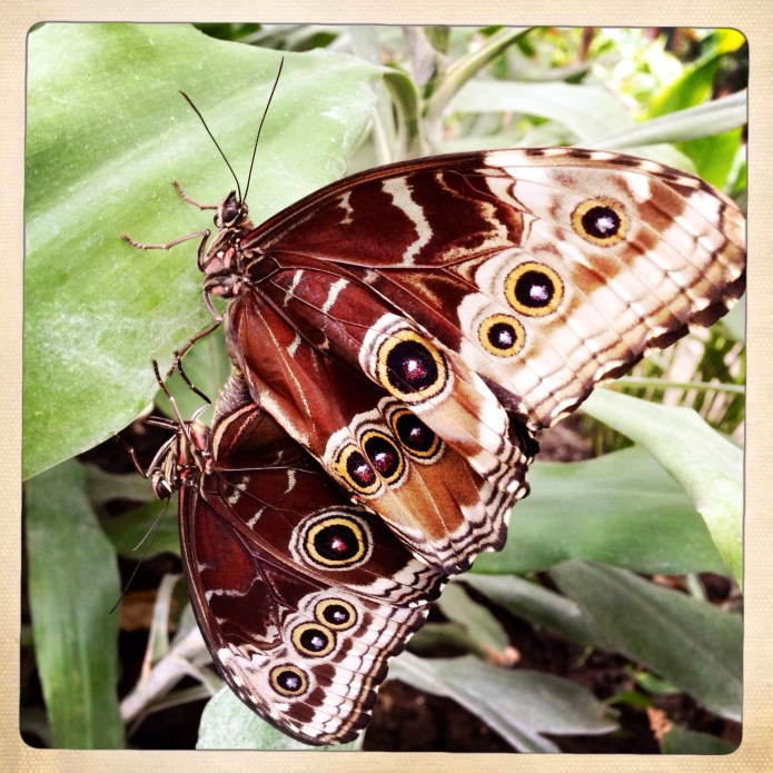 Upside Up, Upside Down