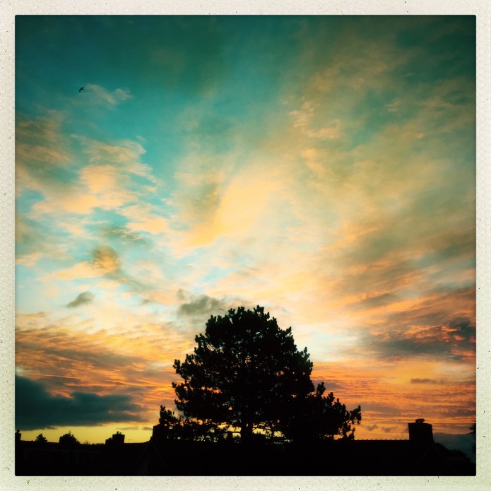 It's All About the Tree