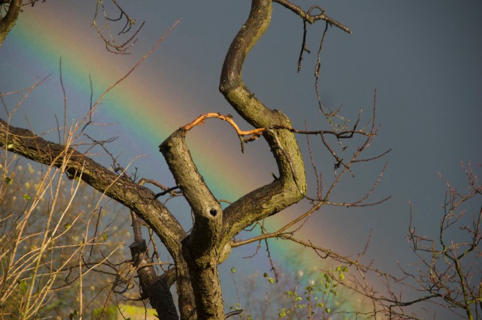 Love in the sky small