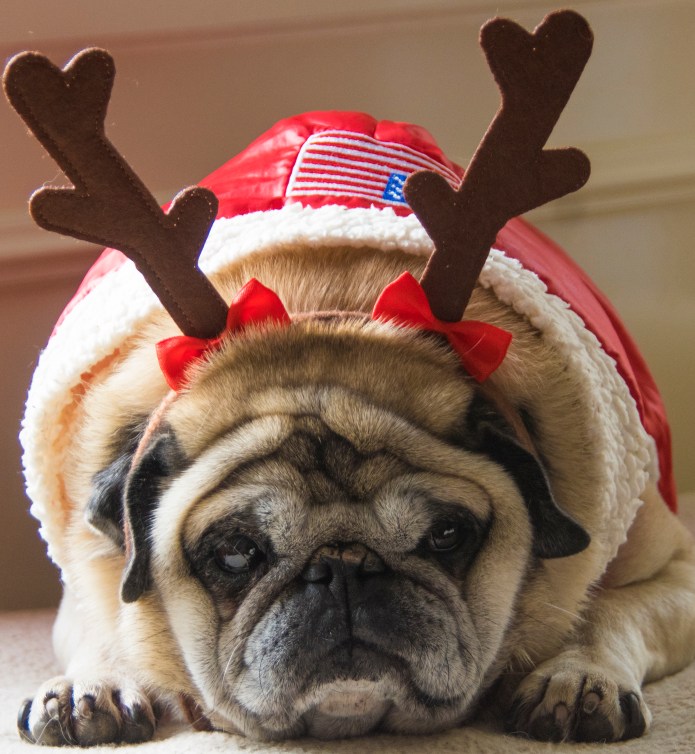 Sophie Ralph Lauren kerst