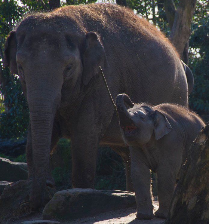 Here comes the weekend