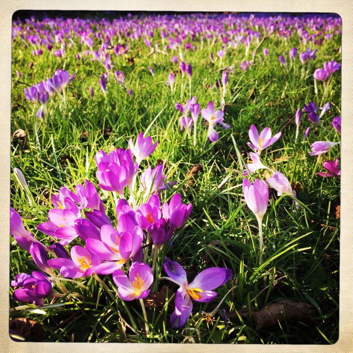 Spring is on it's way